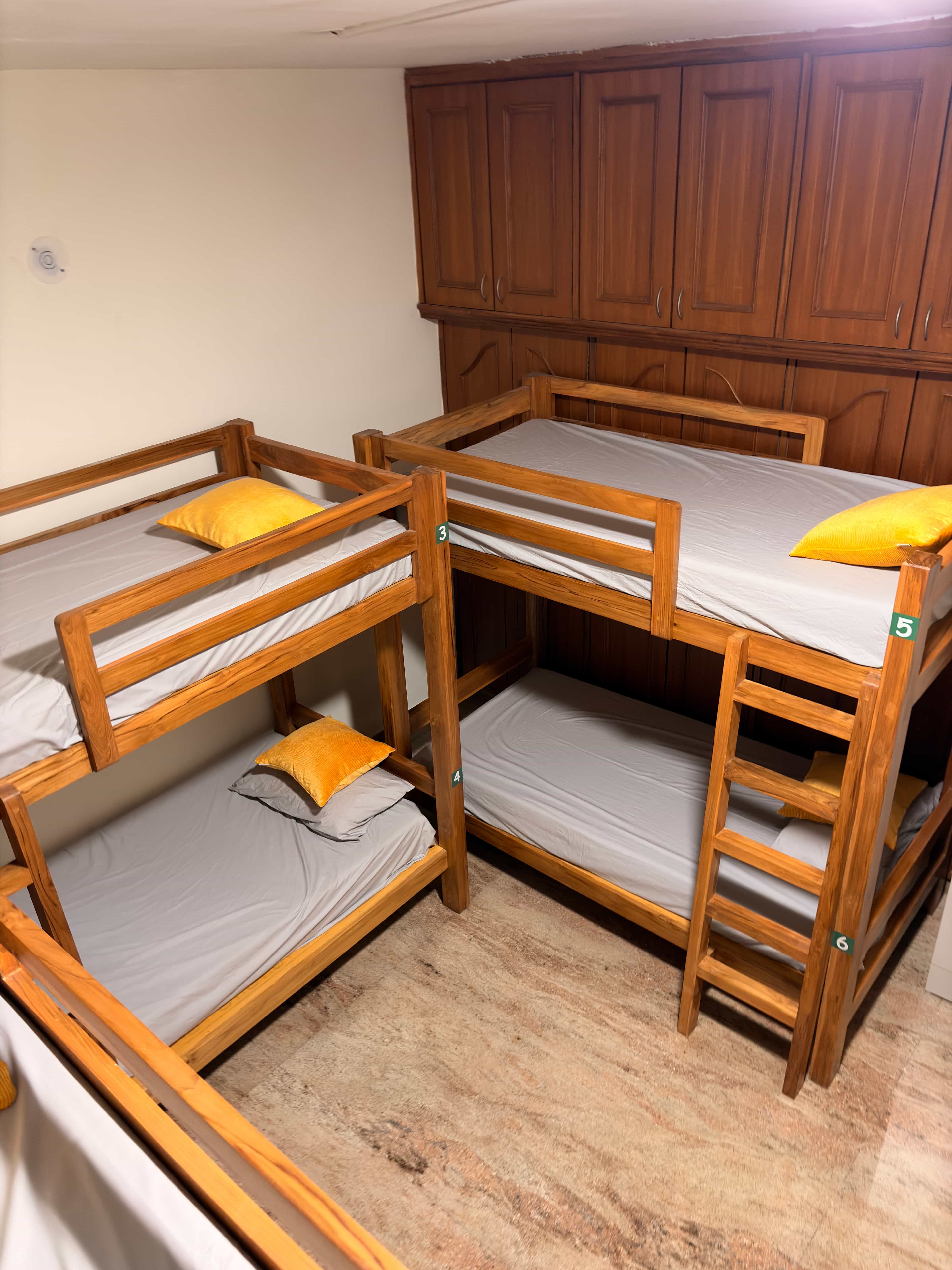 View from a top bunk across the dorm at Nirvana Backpackers, Tirupati